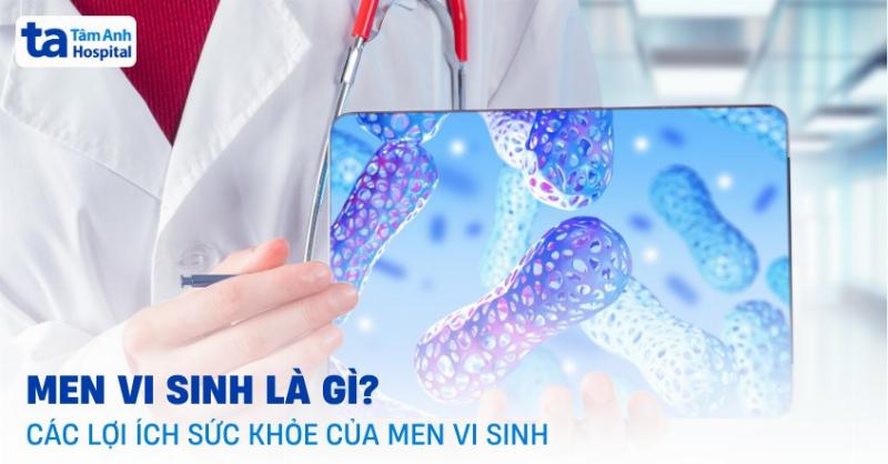 Lợi khuẩn probiotic trong sữa chua hỗ trợ hệ tiêu hóa khỏe mạnh